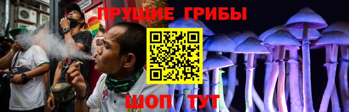 купить наркоту  Вход с VPN  Саранск  Псилоцибиновые грибы Psilocybe  Галлюциногенные грибы мицелий 